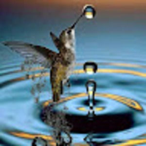 Meet your Posher, Brenda